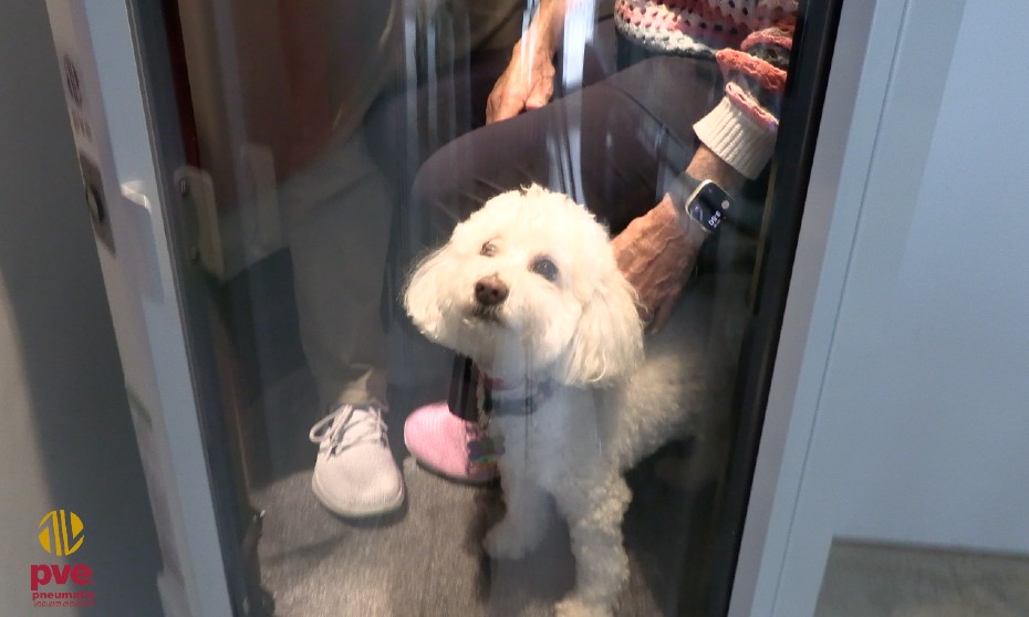 Home-Elevator-For-Pets